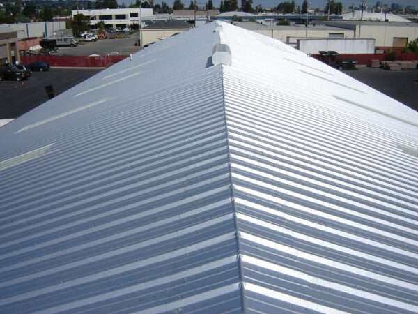 New steel roof with fiberglass panels and ridge vents